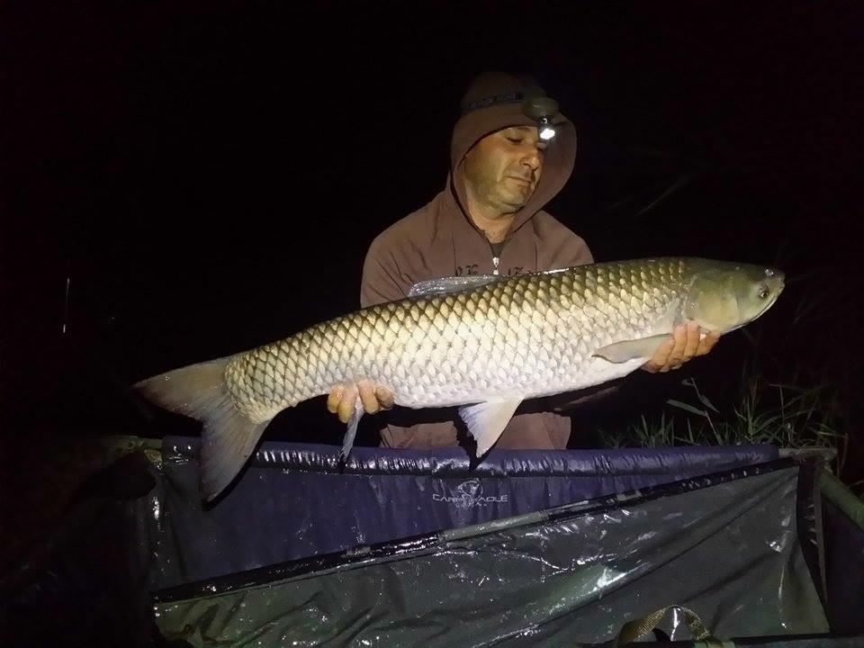 dolofani de varlaam - 033.JPG